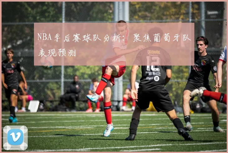 NBA季后赛球队分析：聚焦葡萄牙队表现预测